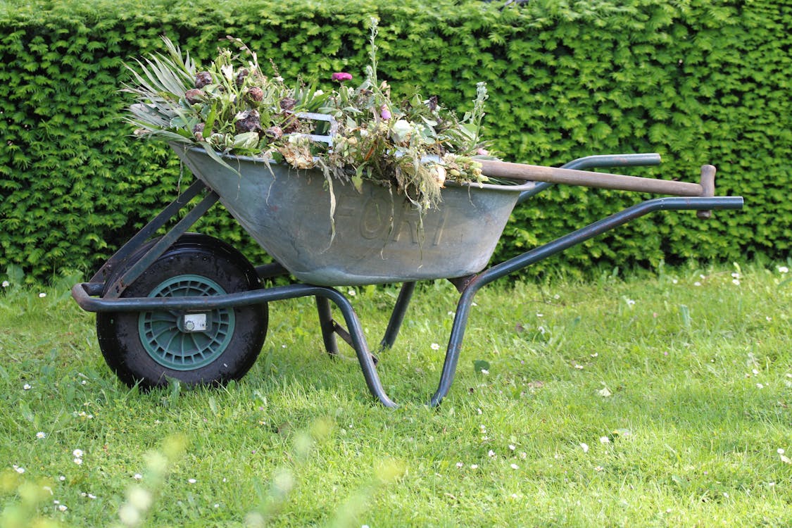 C.RIOU PAYSAGISTE Entretien extérieur et jardin Dinard